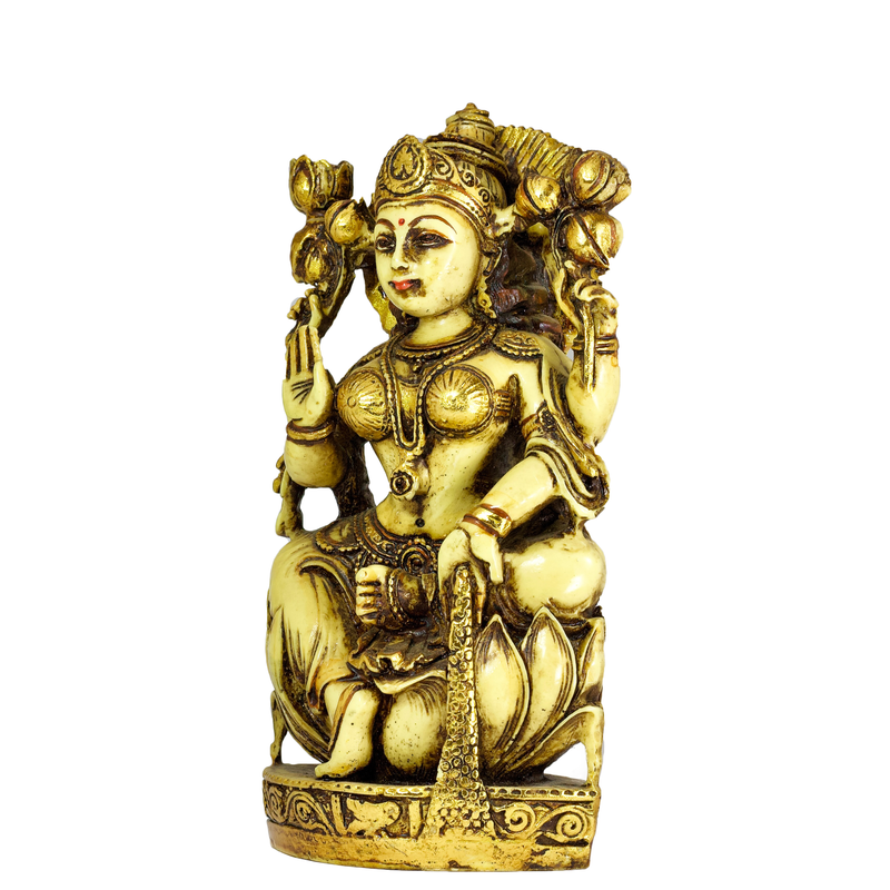 Lakshmi Idol