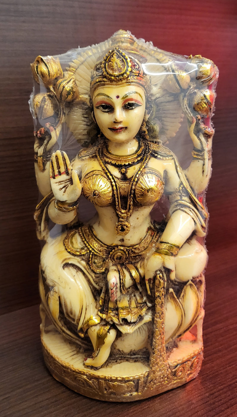 Lakshmi Idol